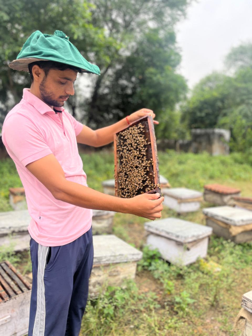 Why RS Pure Product Honey is the Best Choice for Your Health